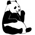 babyR